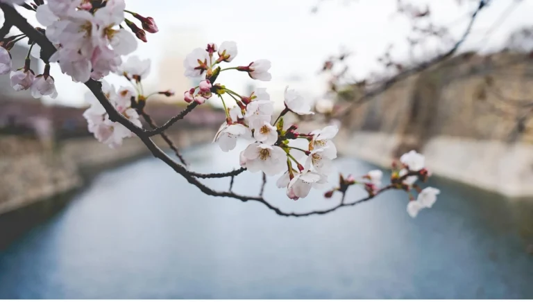 best places to visit in march usa